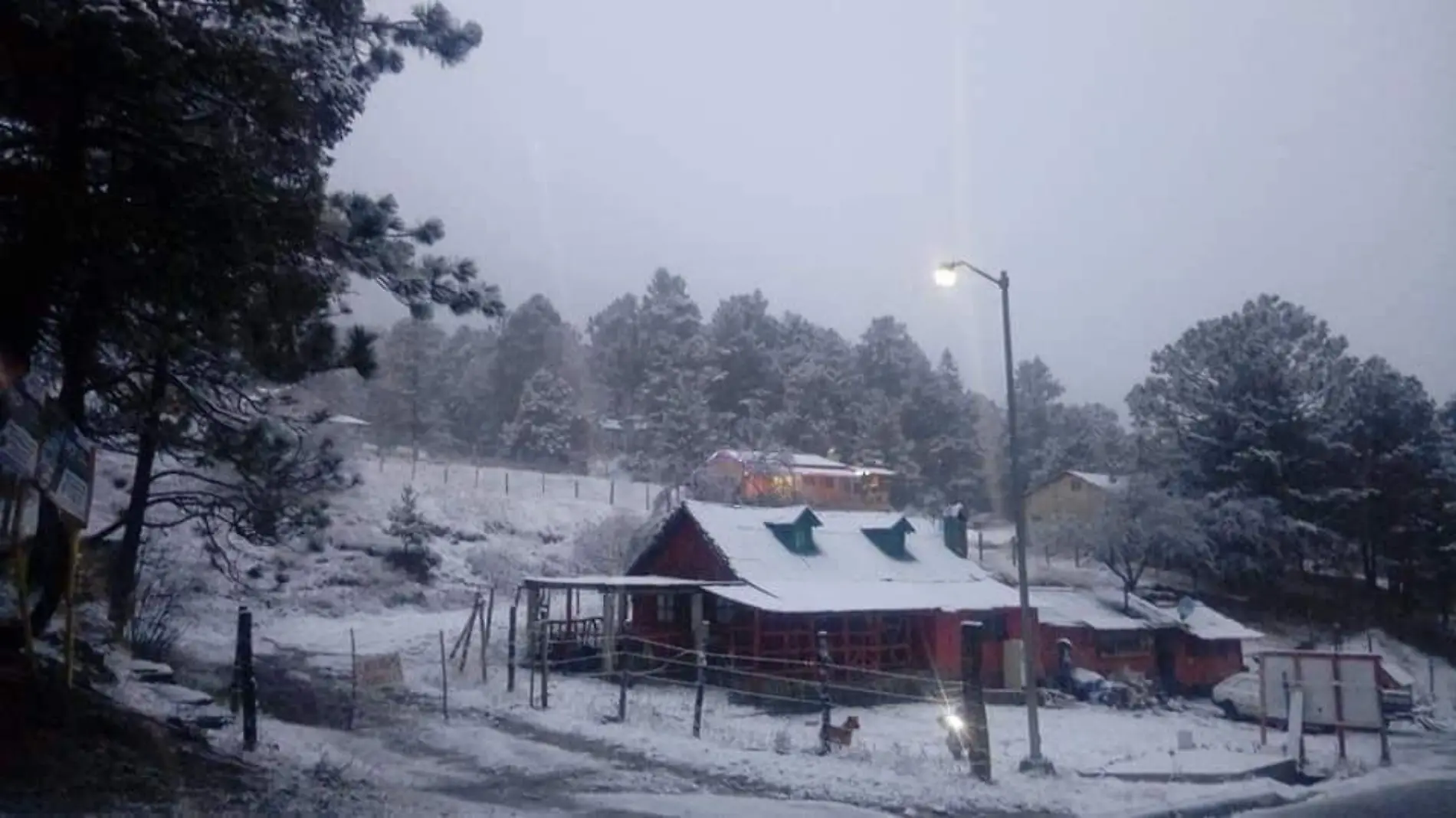 13 Nevadas sorprenden a Coahuila 1